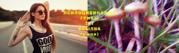 кристаллы Богданович