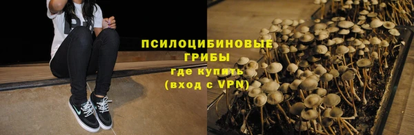 тгк Бронницы