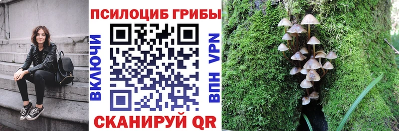 МЕГА ТОР  где купить наркотик  Ковров  Галлюциногенные грибы мухоморы 